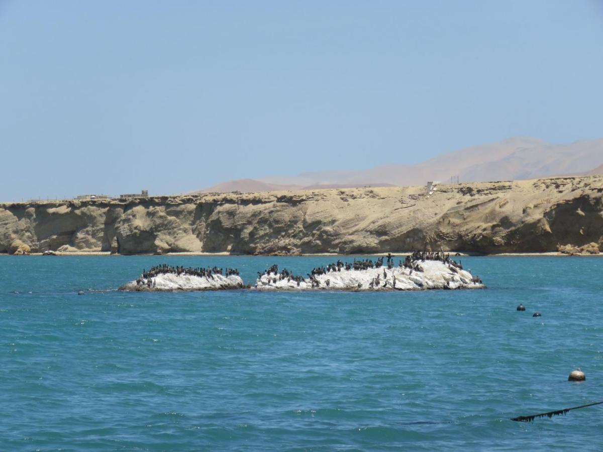 Paracas Apartment 外观 照片
